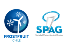 logo_footer_frostfruit2